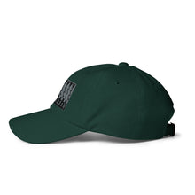 Load image into Gallery viewer, DOWNWARD PINE Dad Hat (grey)
