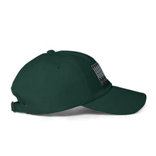 Load image into Gallery viewer, DOWNWARD PINE Dad Hat (grey)