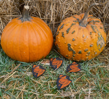 Load image into Gallery viewer, Pumpkin Patch
